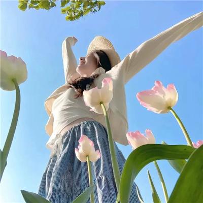 汪汪队立大功第五季